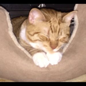 Meet your Posher, Catherine